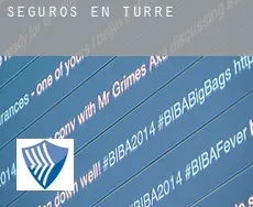 Seguros en  Turre
