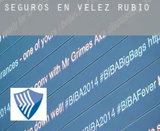 Seguros en  Velez Rubio