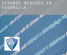 Seguros medicos en Escamilla