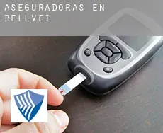 Aseguradoras en Bellvei