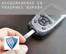 Aseguradoras en  Prádanos de Bureba
