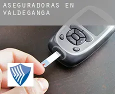 Aseguradoras en  Valdeganga