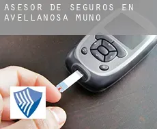 Asesor de seguros en  Avellanosa de Muñó