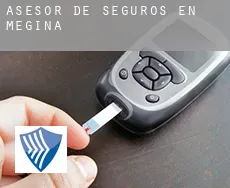Asesor de seguros en  Megina
