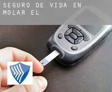 Seguro de vida en  Molar (El)