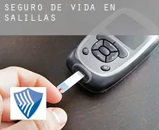 Seguro de vida en  Salillas