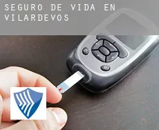 Seguro de vida en  Vilardevós