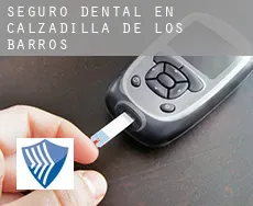 Seguro dental en  Calzadilla de los Barros
