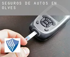 Seguros de autos en  Olvés
