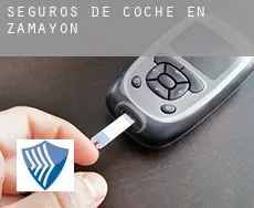 Seguros de coche en  Zamayón