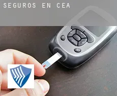 Seguros en  Cea