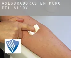Aseguradoras en  Muro del Alcoy