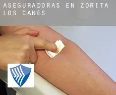 Aseguradoras en  Zorita de los Canes