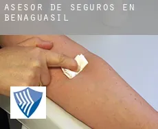 Asesor de seguros en  Benaguasil