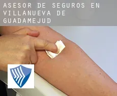 Asesor de seguros en  Villanueva de Guadamejud