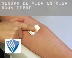 Seguro de vida en  Riba-roja d'Ebre