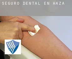 Seguro dental en  Haza