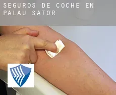 Seguros de coche en  Palau-sator