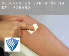 Seguros en  Santa María del Páramo