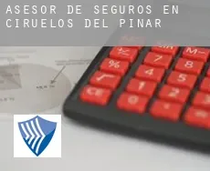 Asesor de seguros en  Ciruelos del Pinar