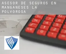 Asesor de seguros en  Manganeses de la Polvorosa