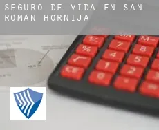 Seguro de vida en  San Román de Hornija