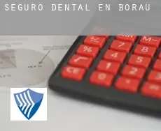 Seguro dental en  Borau