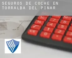 Seguros de coche en  Torralba del Pinar