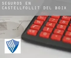 Seguros en  Castellfollit del Boix
