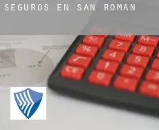 Seguros en  San Román