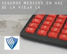 Seguros medicos en  Hoz de la Vieja (La)
