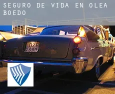 Seguro de vida en  Olea de Boedo