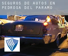 Seguros de autos en  Pedrosa del Páramo