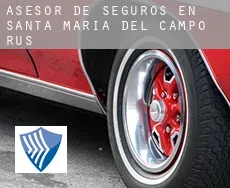 Asesor de seguros en  Santa María del Campo Rus