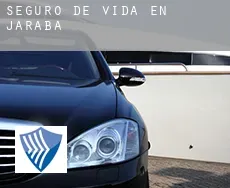 Seguro de vida en  Jaraba