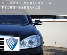 Seguros medicos en Pedro Bernardo