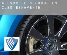 Asesor de seguros en  Cubo de Benavente