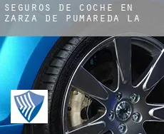 Seguros de coche en  Zarza de Pumareda (La)