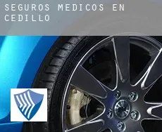 Seguros medicos en  Cedillo