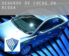 Seguros de coche en  Riosa