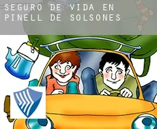 Seguro de vida en  Pinell de Solsonès