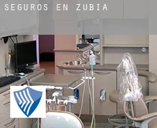 Seguros en  Zubia