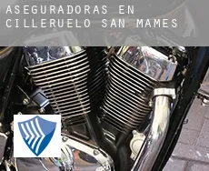 Aseguradoras en  Cilleruelo de San Mamés