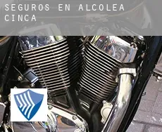 Seguros en  Alcolea de Cinca