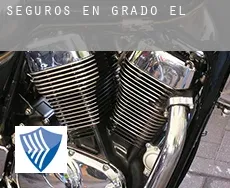 Seguros en  Grado (El)