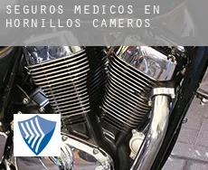 Seguros medicos en  Hornillos de Cameros