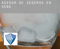 Asesor de seguros en Soba
