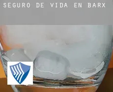 Seguro de vida en  Barx