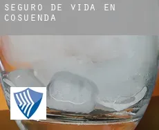 Seguro de vida en  Cosuenda