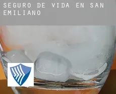 Seguro de vida en  San Emiliano